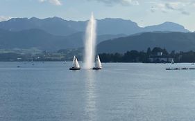 Neues Traunsee Apartment Altmünster